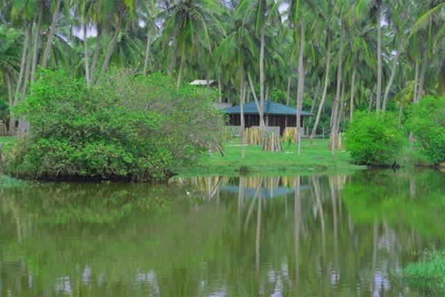 Aqua Front Yala Resort Kirinda  Exterior photo